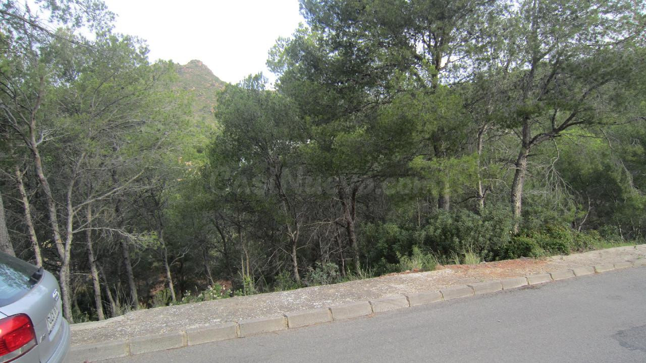 PARCELA URBANA EN URBANIZACIÓN LAS PALMAS