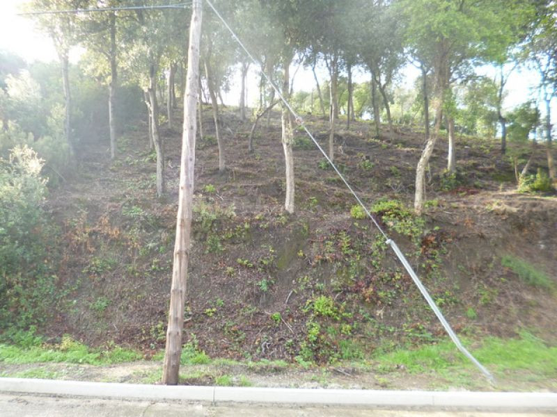 Terreno con un poquito de pendiente