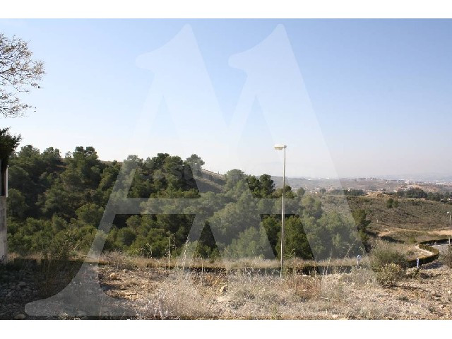 SOLAR EN ALTORREAL