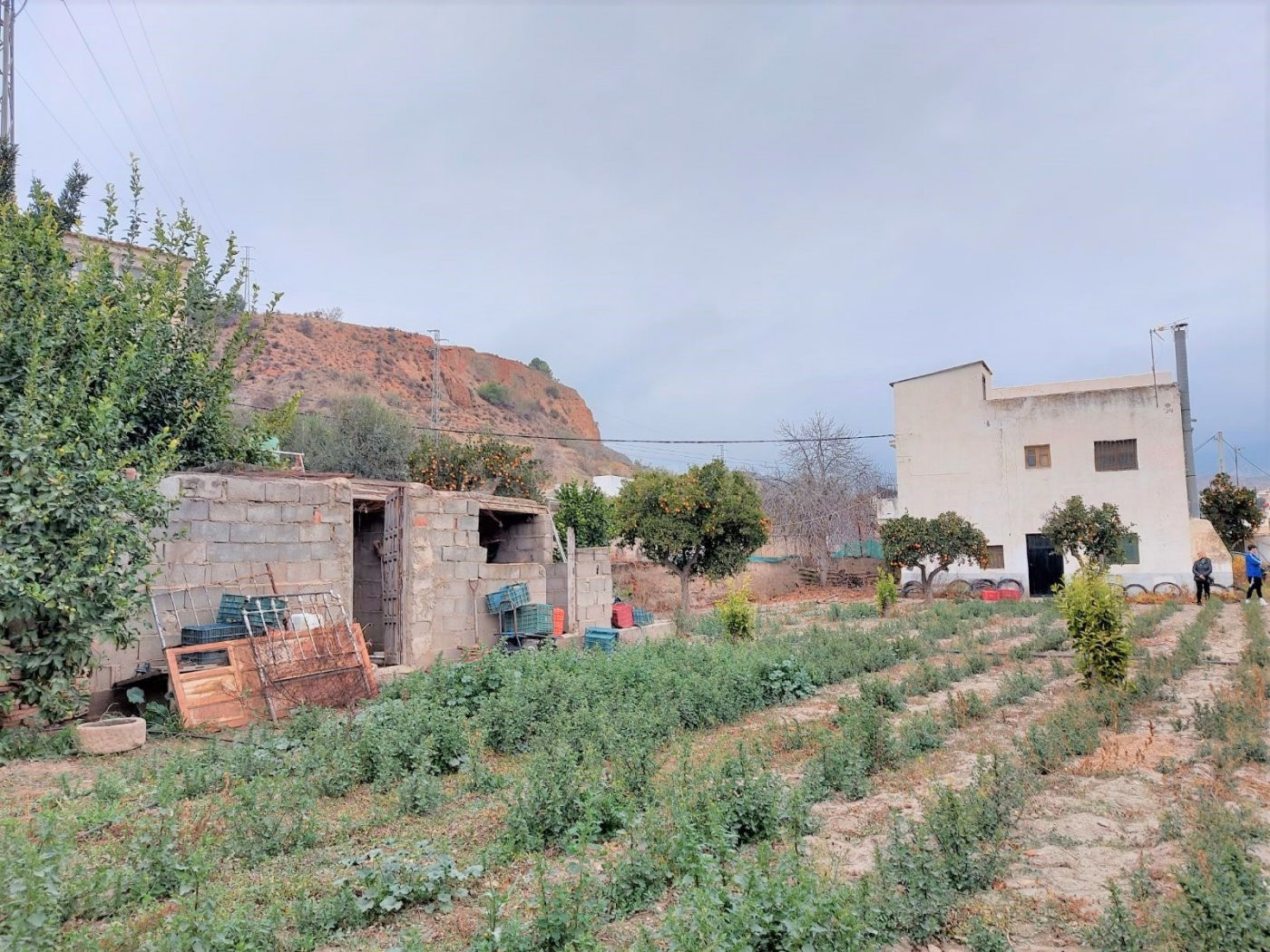 CORTIJO EN VENTA EN UGIJAR