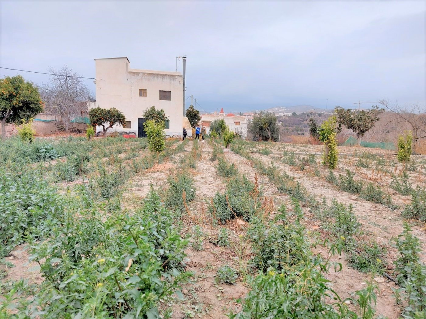 CORTIJO EN VENTA EN UGIJAR - foto 2