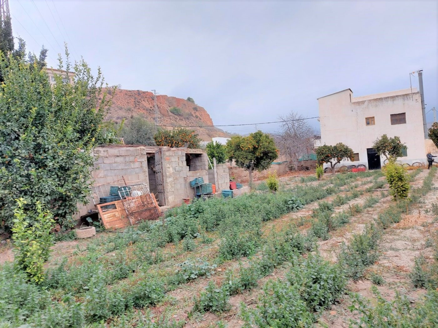 CORTIJO EN VENTA EN UGIJAR - foto 3