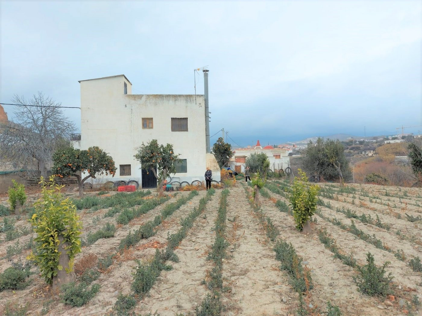 CORTIJO EN VENTA EN UGIJAR - foto 4