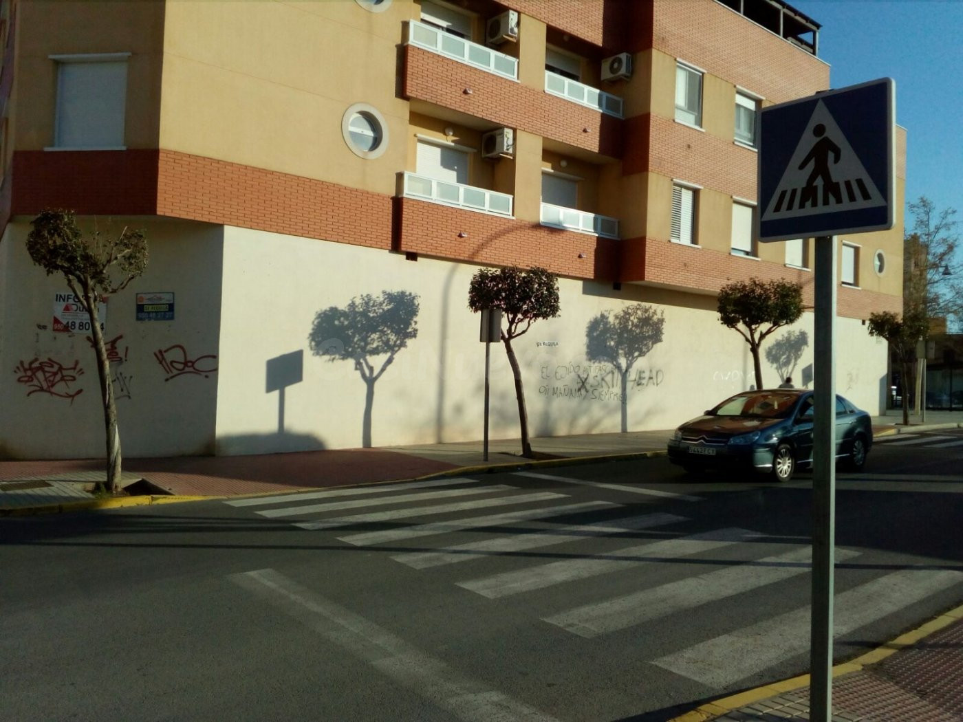 Comercio en alquiler en El Ejido