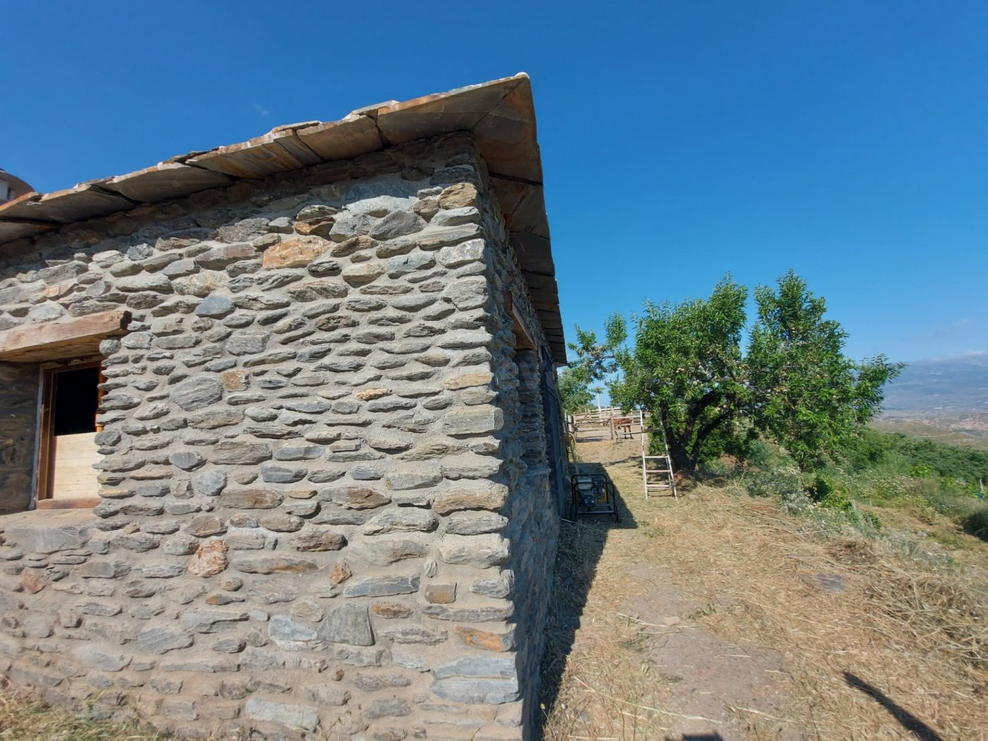 CORTIJO CON PARCELA EN VALOR