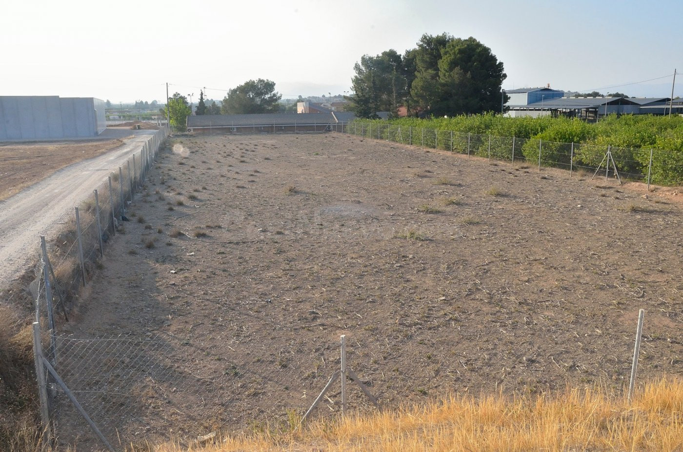 PARCELA RÚSTICA EN LA MATANZA DE SANTOMERA