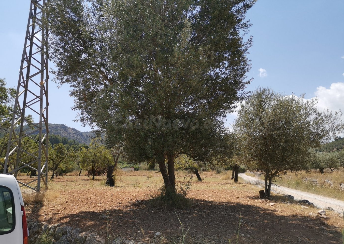 PARCELA RUSTICA EN ORBA MUY CERCA DEL PUEBLO - foto 4