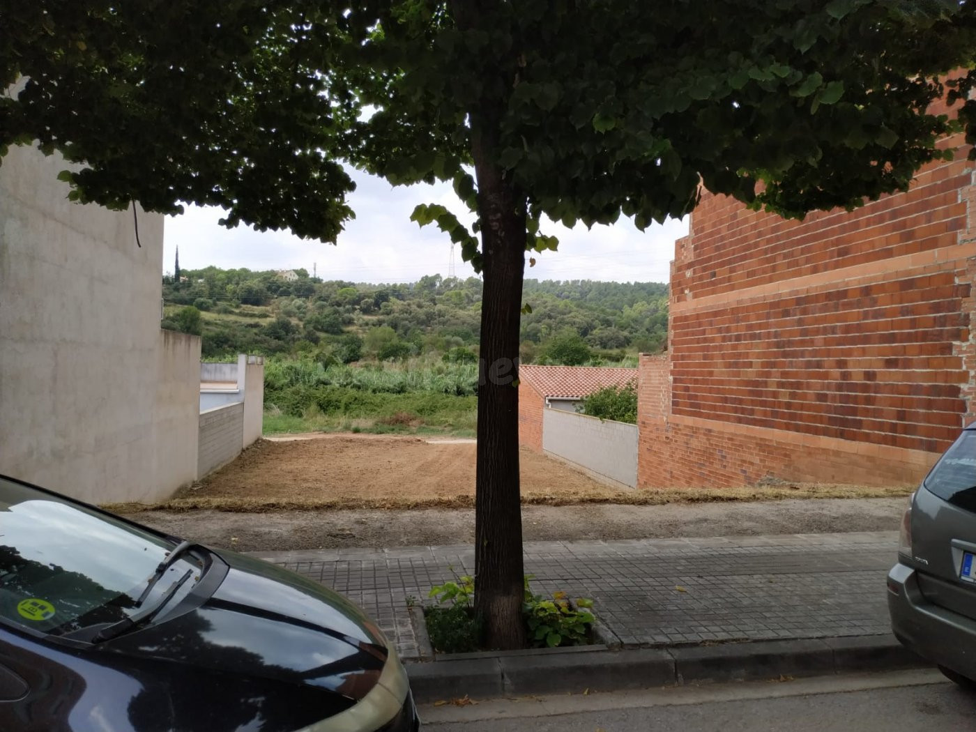 PARCELA IDEAL PARA EDIFICAR - foto 3