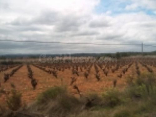 Parcela de terreno rústico de 22.890 m2.
