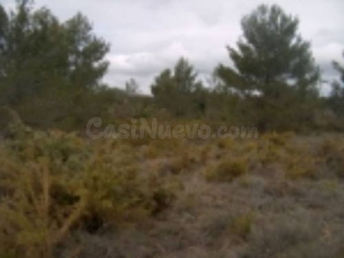 Parcela de terreno rústico de 22.890 m2. - foto 4