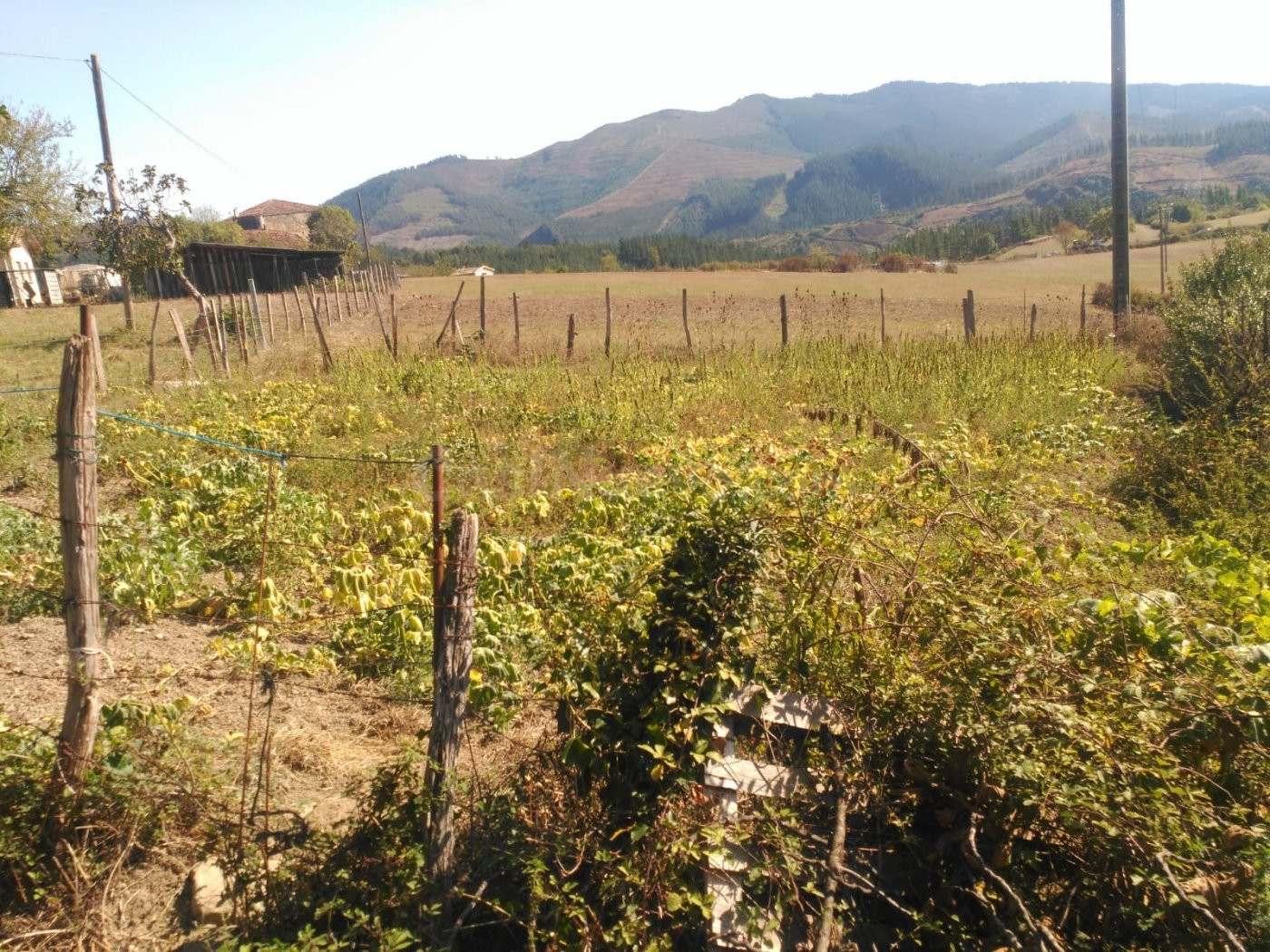 Venta Caserio en Artziniega - foto 3