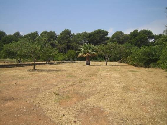 Gran terreno rústico de 20.000 m2 en Torrecarrals