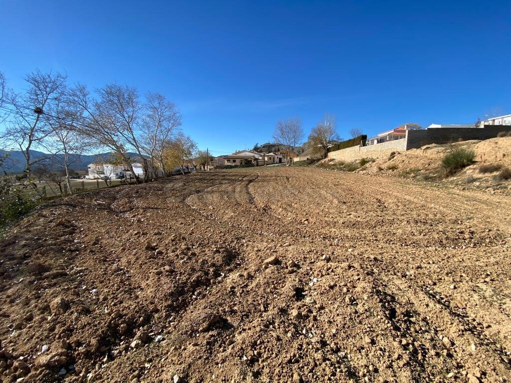 en venta solar en diezma para la construcción de unifamiliar - foto 5