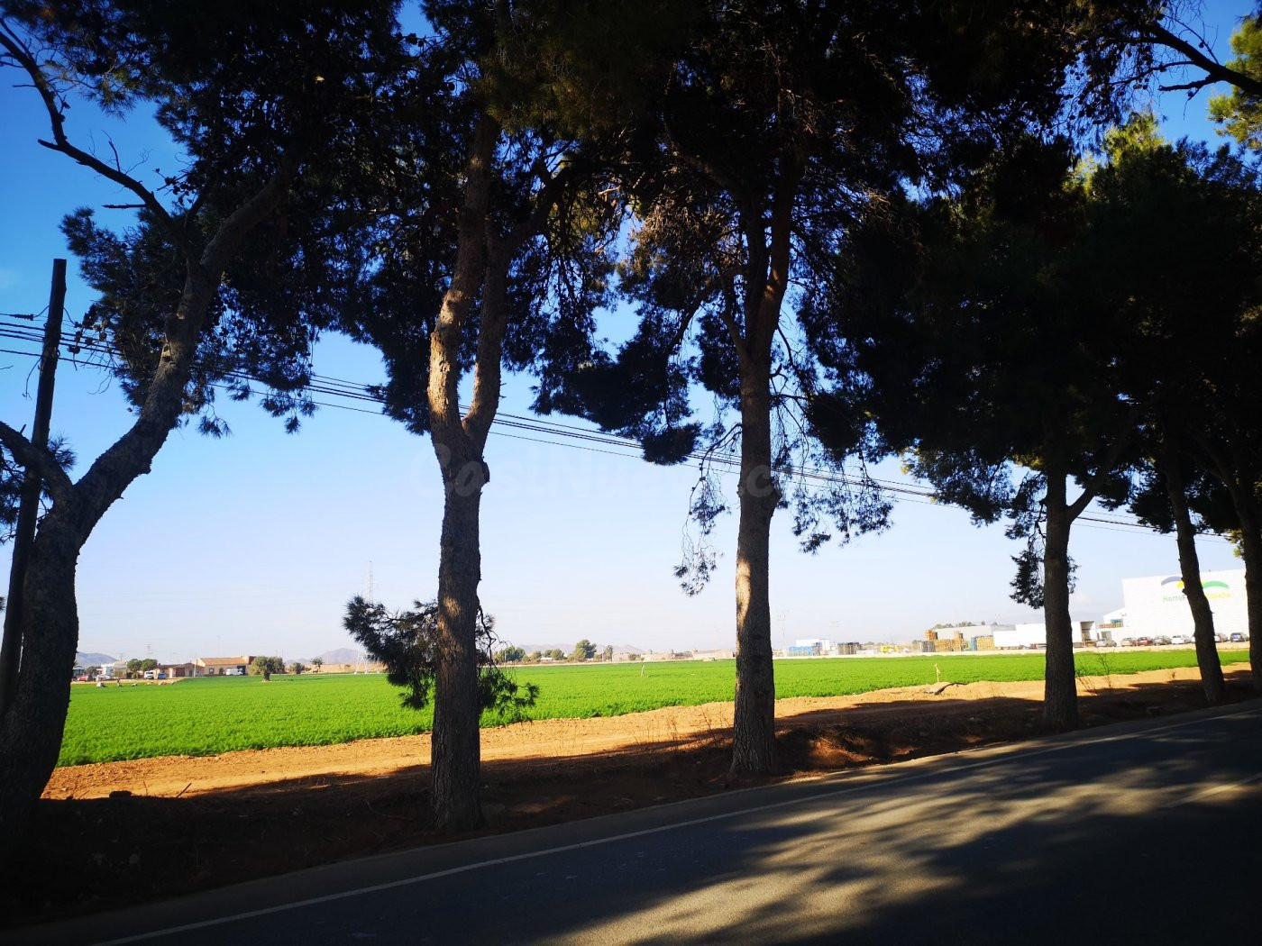 ESPECTACULAR FINCA RUSTICA - foto 5