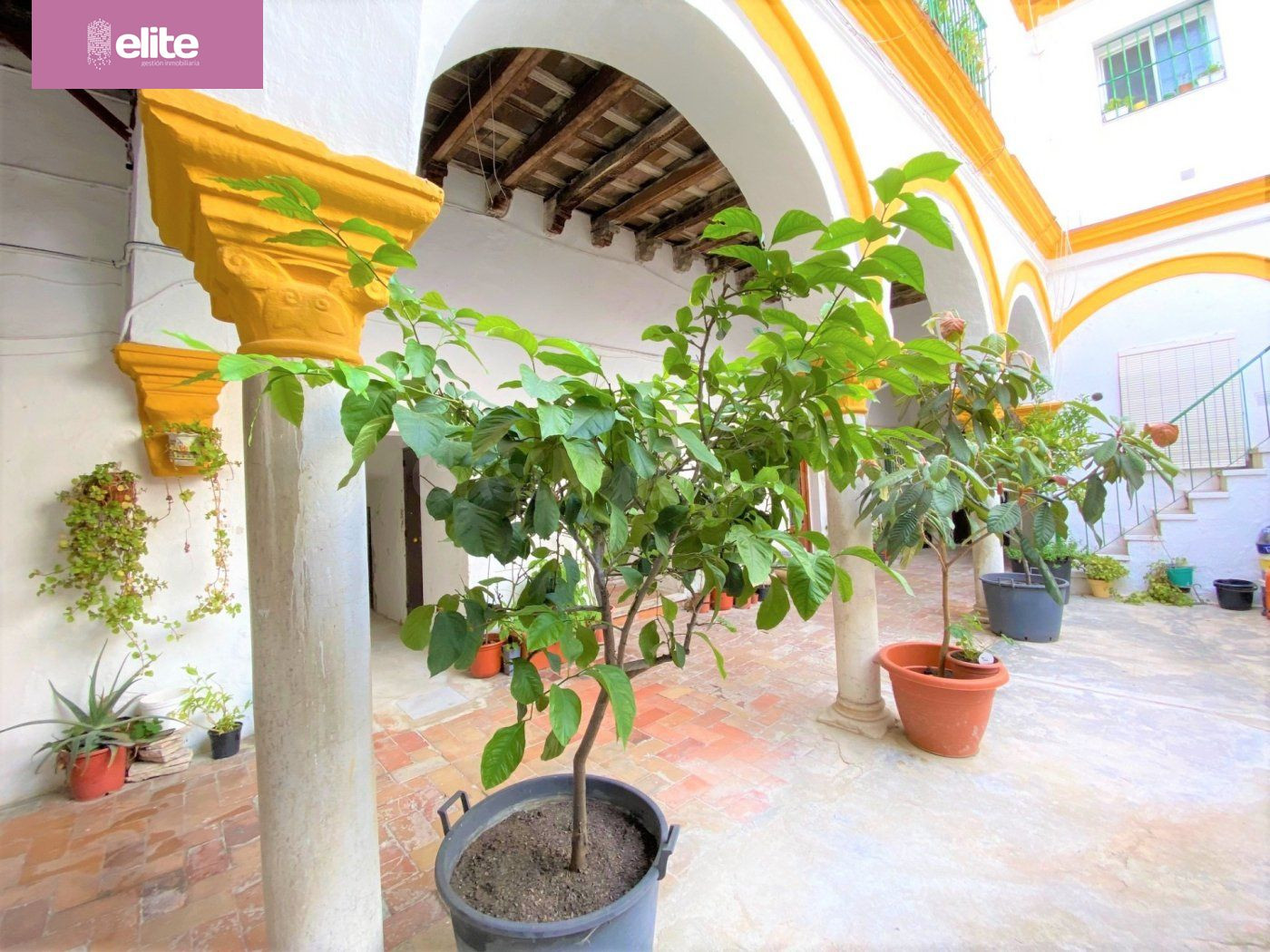 OPORTUNIDAD DE INVERSION MAGNIFICA CASA EN EL CENTRO