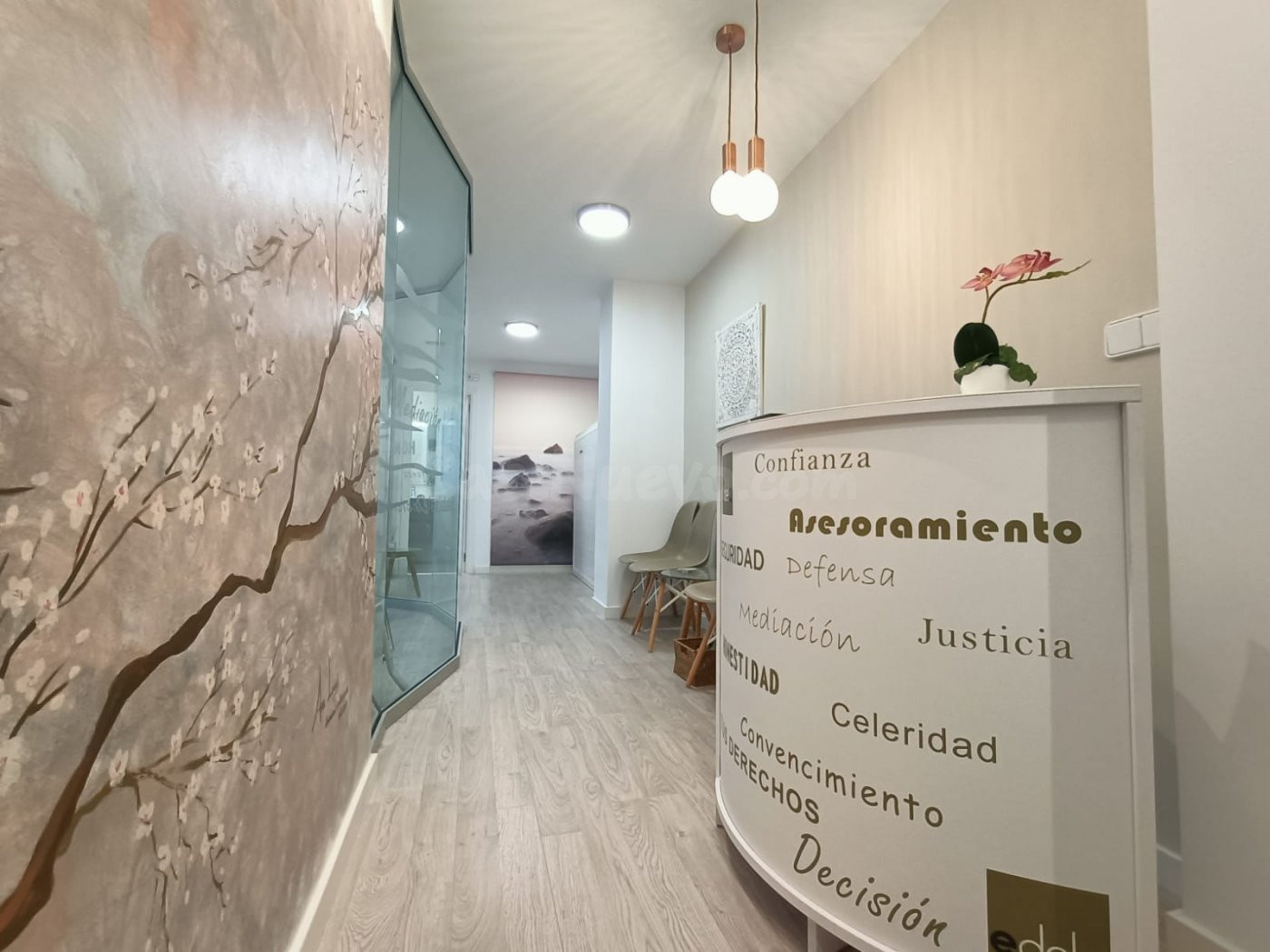 OFICINA EN PLENO CENTRO DE ELCHE - ALICANTE