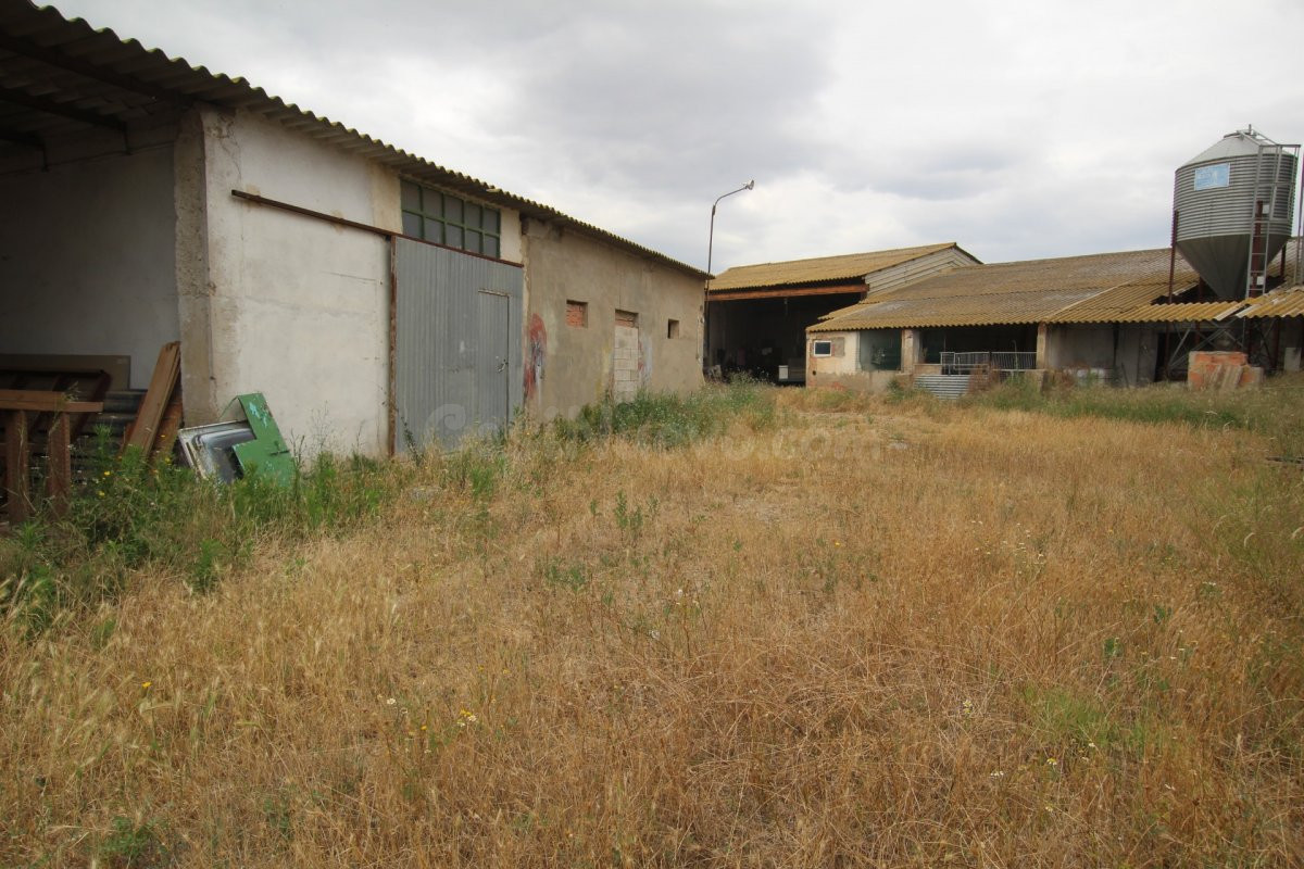 TERRENO CON NAVE Y GRANJAS