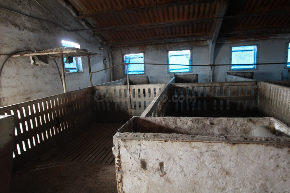 TERRENO CON NAVE Y GRANJAS - foto 3