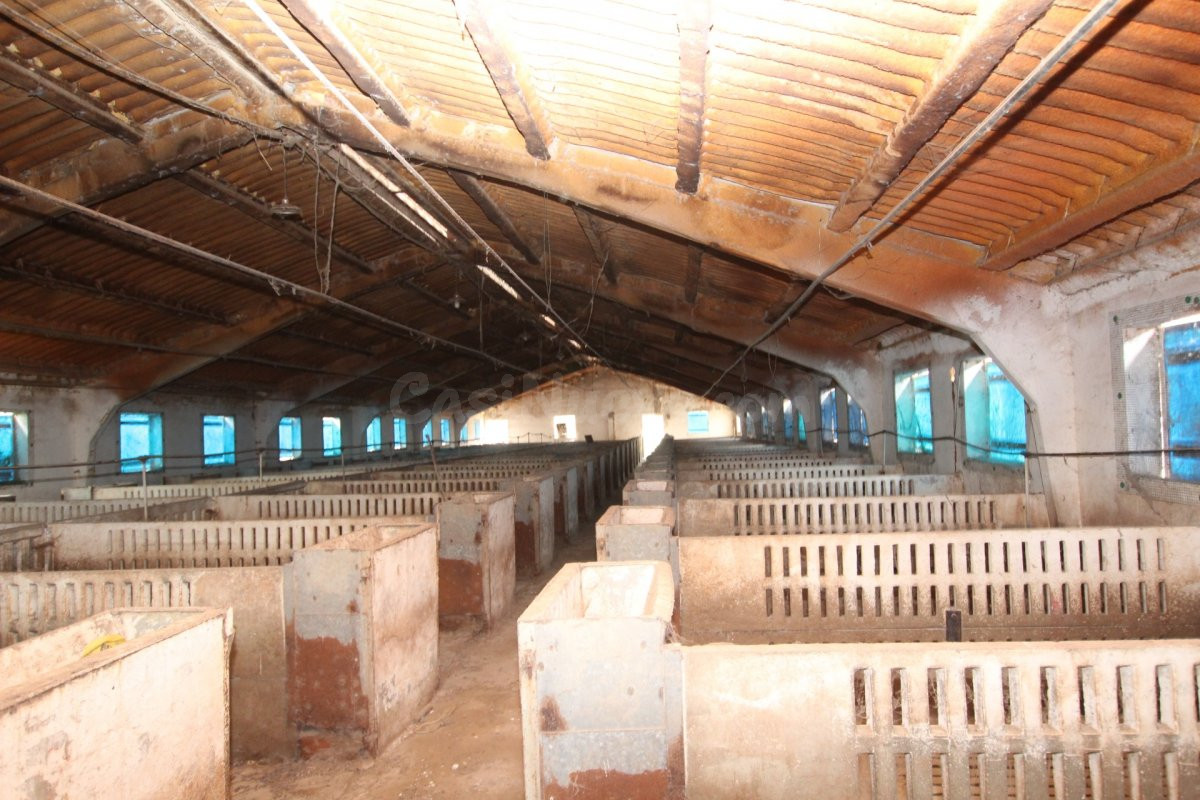 TERRENO CON NAVE Y GRANJAS - foto 4
