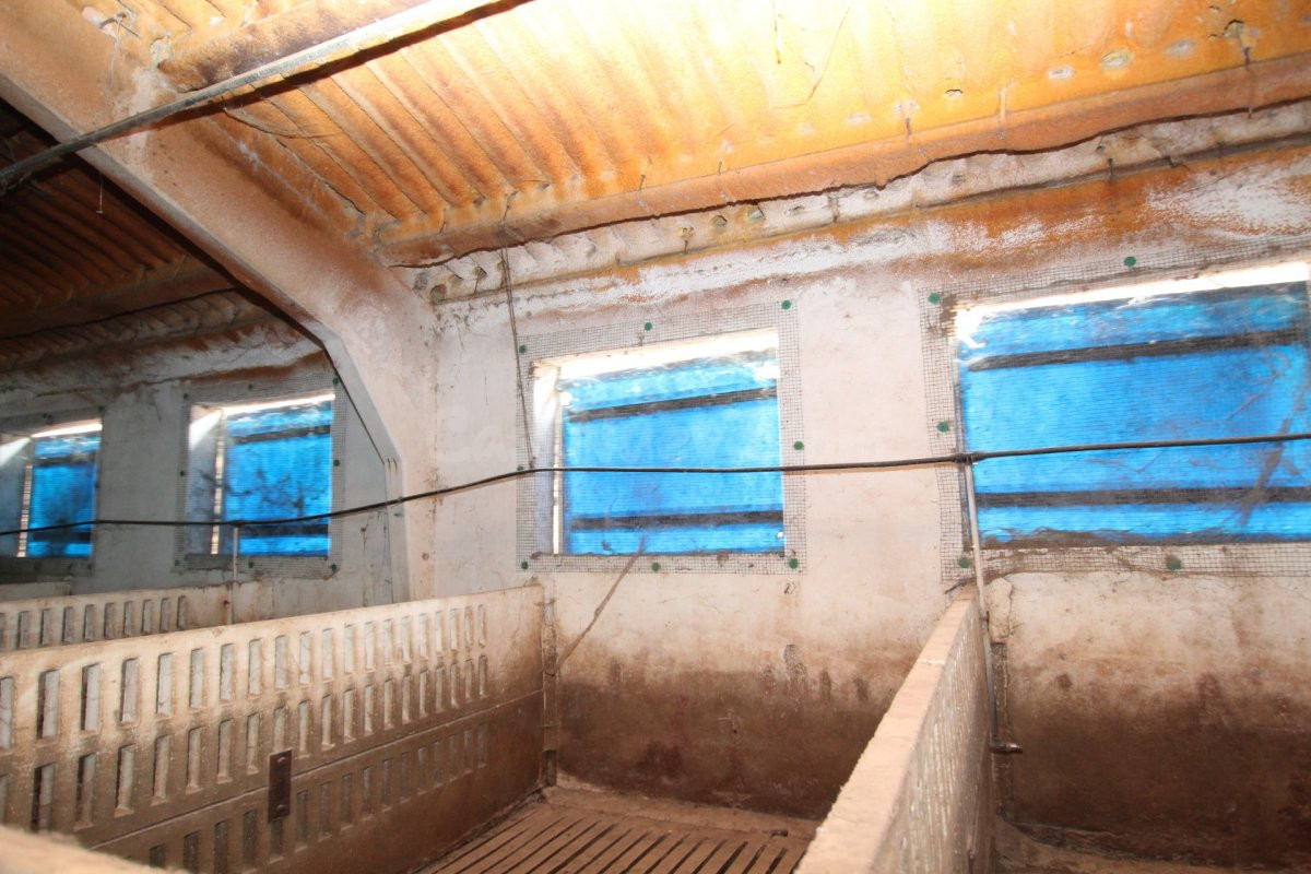 TERRENO CON NAVE Y GRANJAS - foto 5