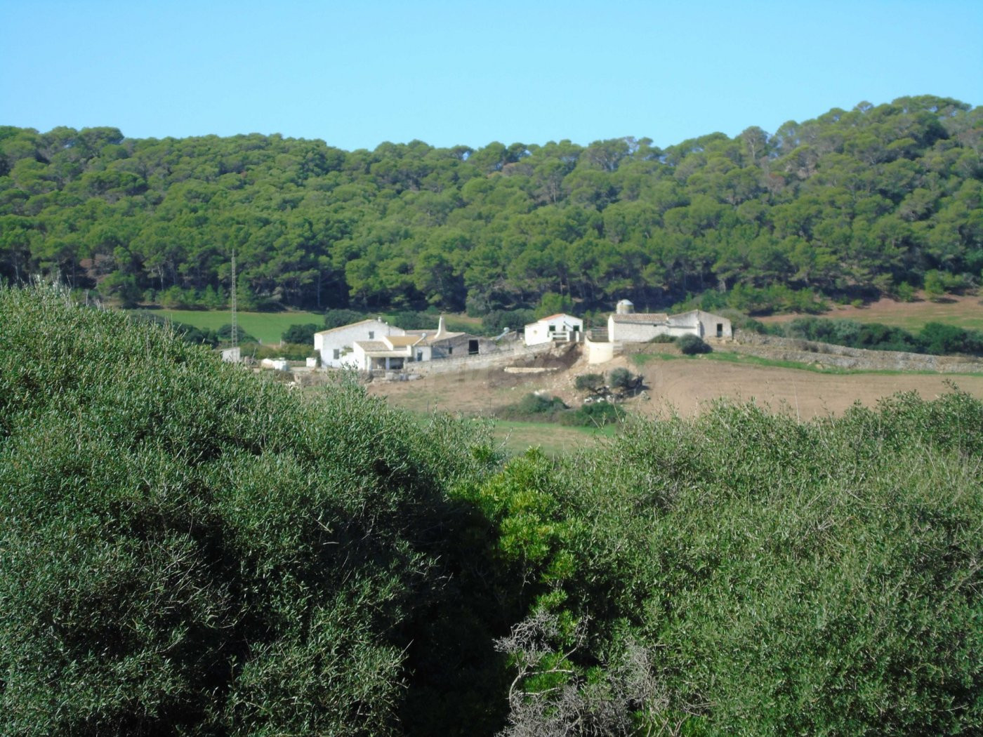Finca rústica de 303 hectáreas en Ciutadella, Menorca C-7036 - foto 3