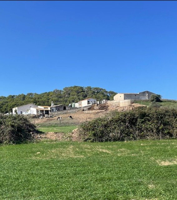 Finca rústica de 303 hectáreas en Ciutadella, Menorca C-7036 - foto 4