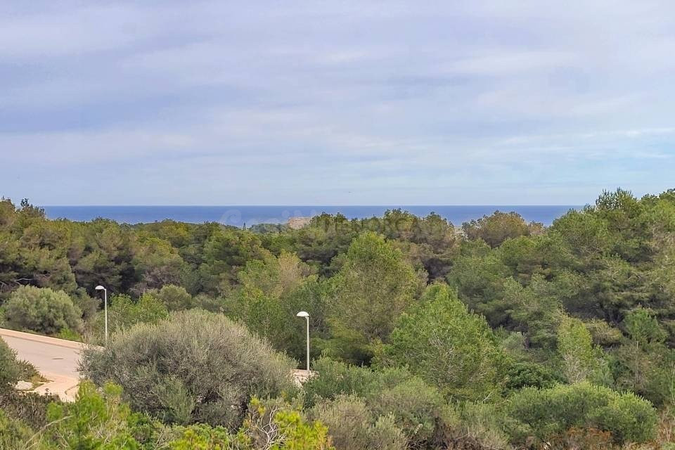 M-9171 Parcela en Coves Noves
