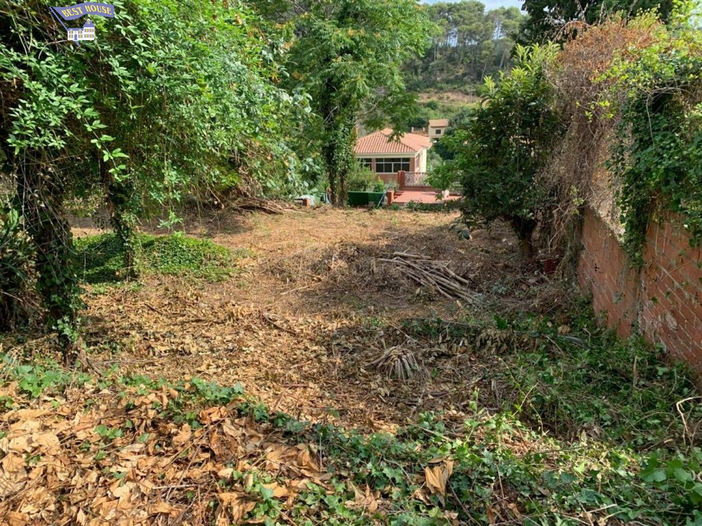 Terreno amplio para construir