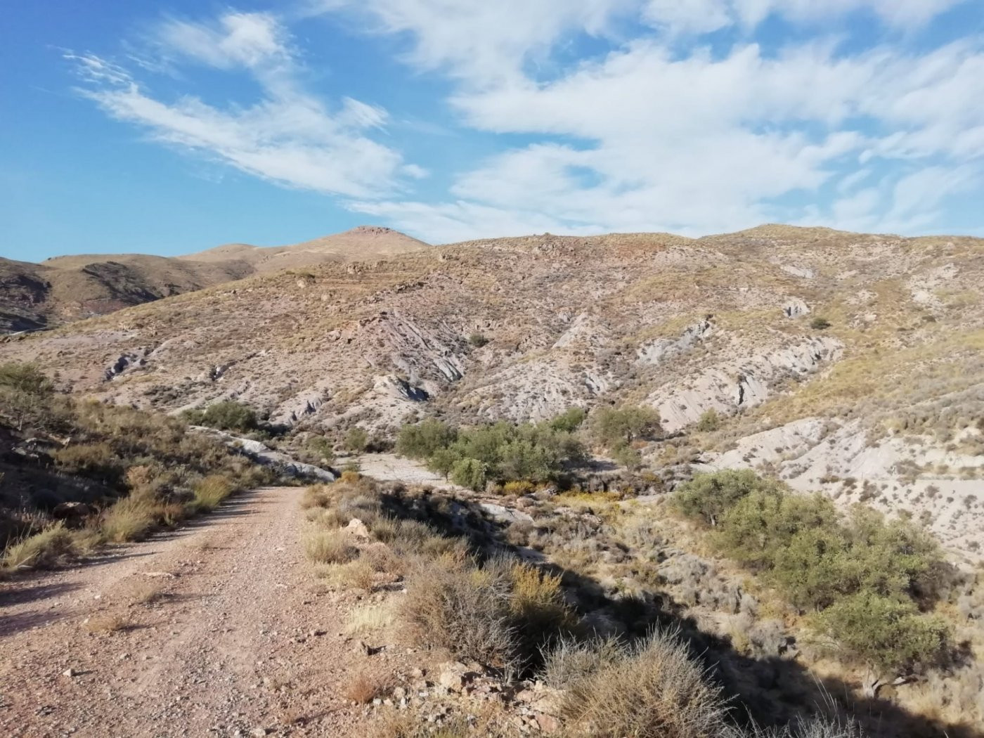 TERRENO RURAL CON AGUA