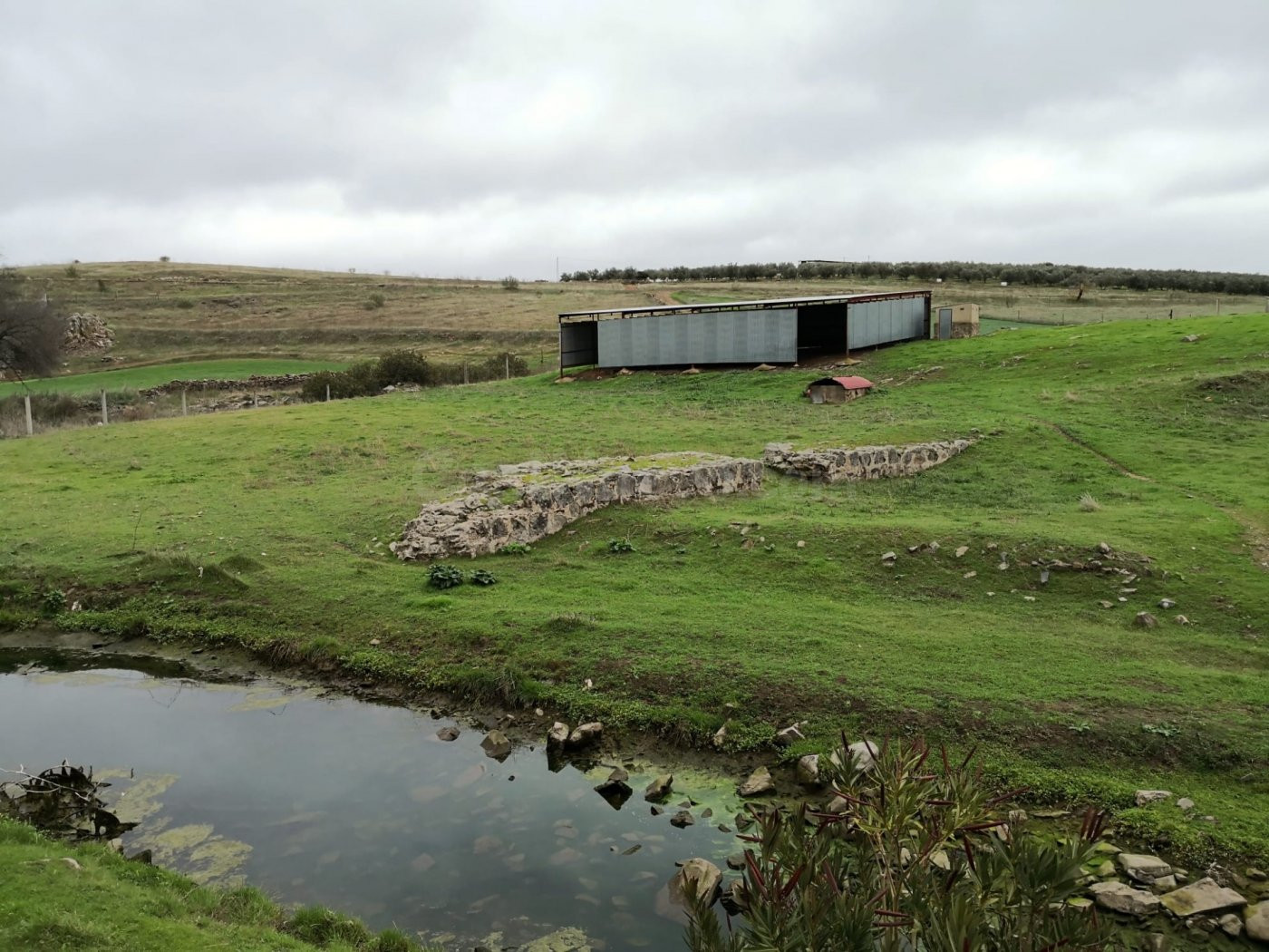 Finca rústica en venta en Belalcázar con 3 hab. y 1 baño Fin - foto 3