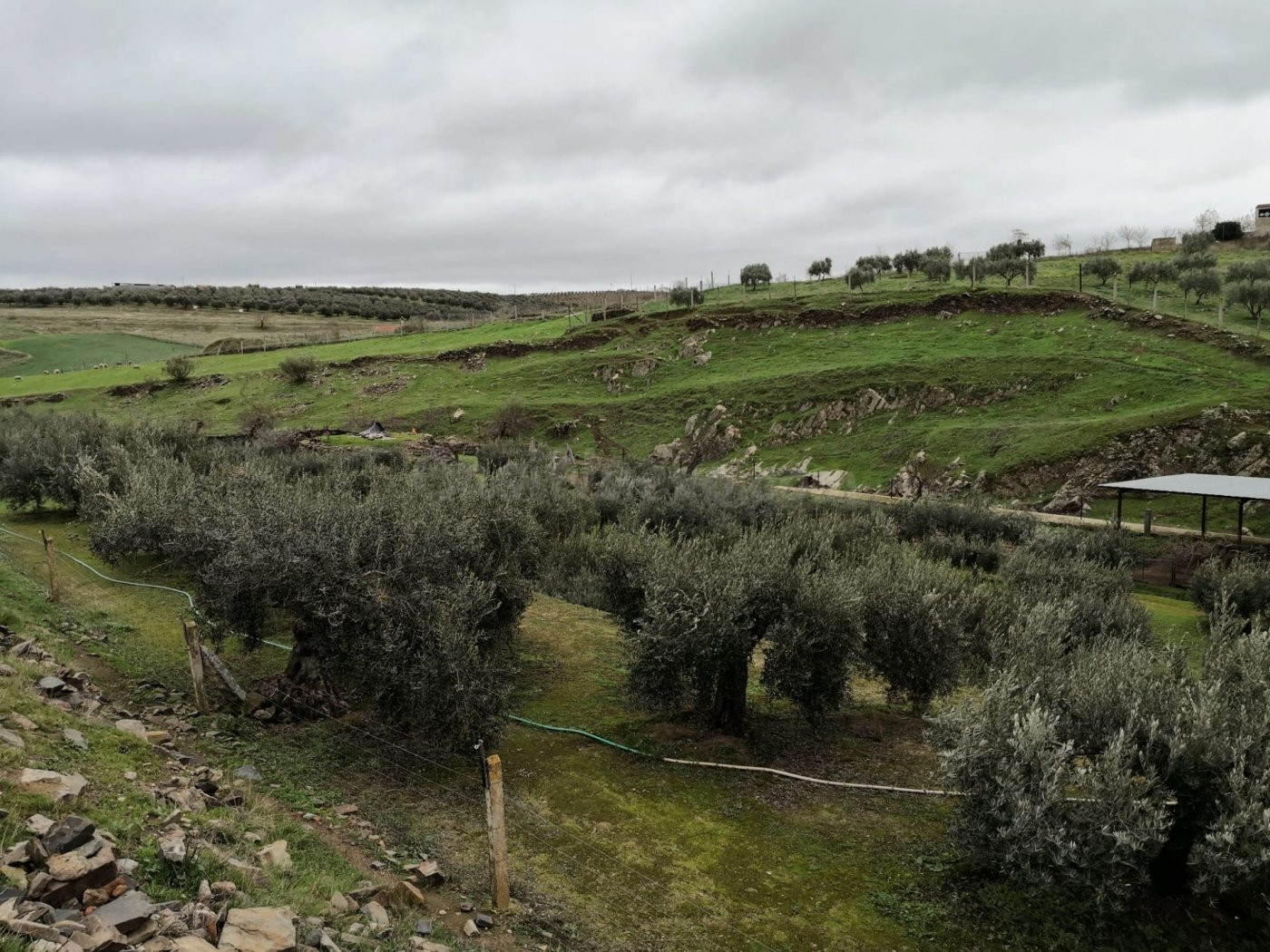 Finca rústica en venta en Belalcázar con 3 hab. y 1 baño Fin - foto 4