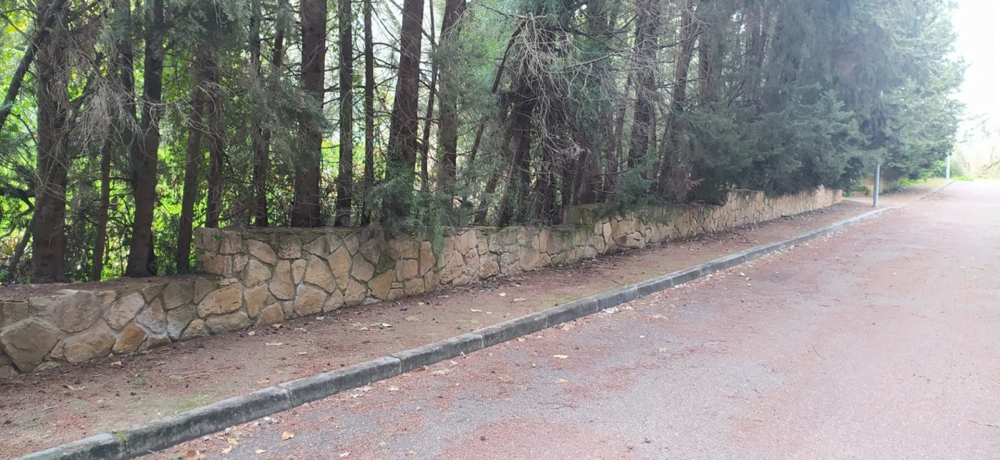 MAGNÍFICA PARCELA URBANA (Edificable). Ctra. de los Morales