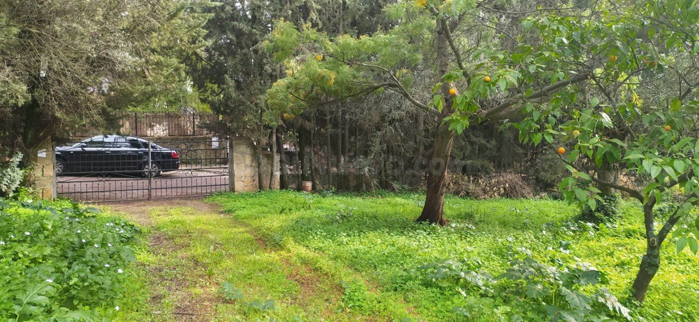 MAGNÍFICA PARCELA URBANA (Edificable). Ctra. de los Morales - foto 2