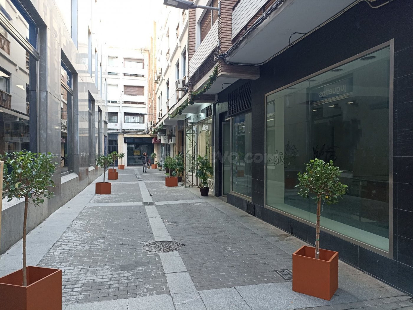 Local Comercial en Alquiler Zona Centro