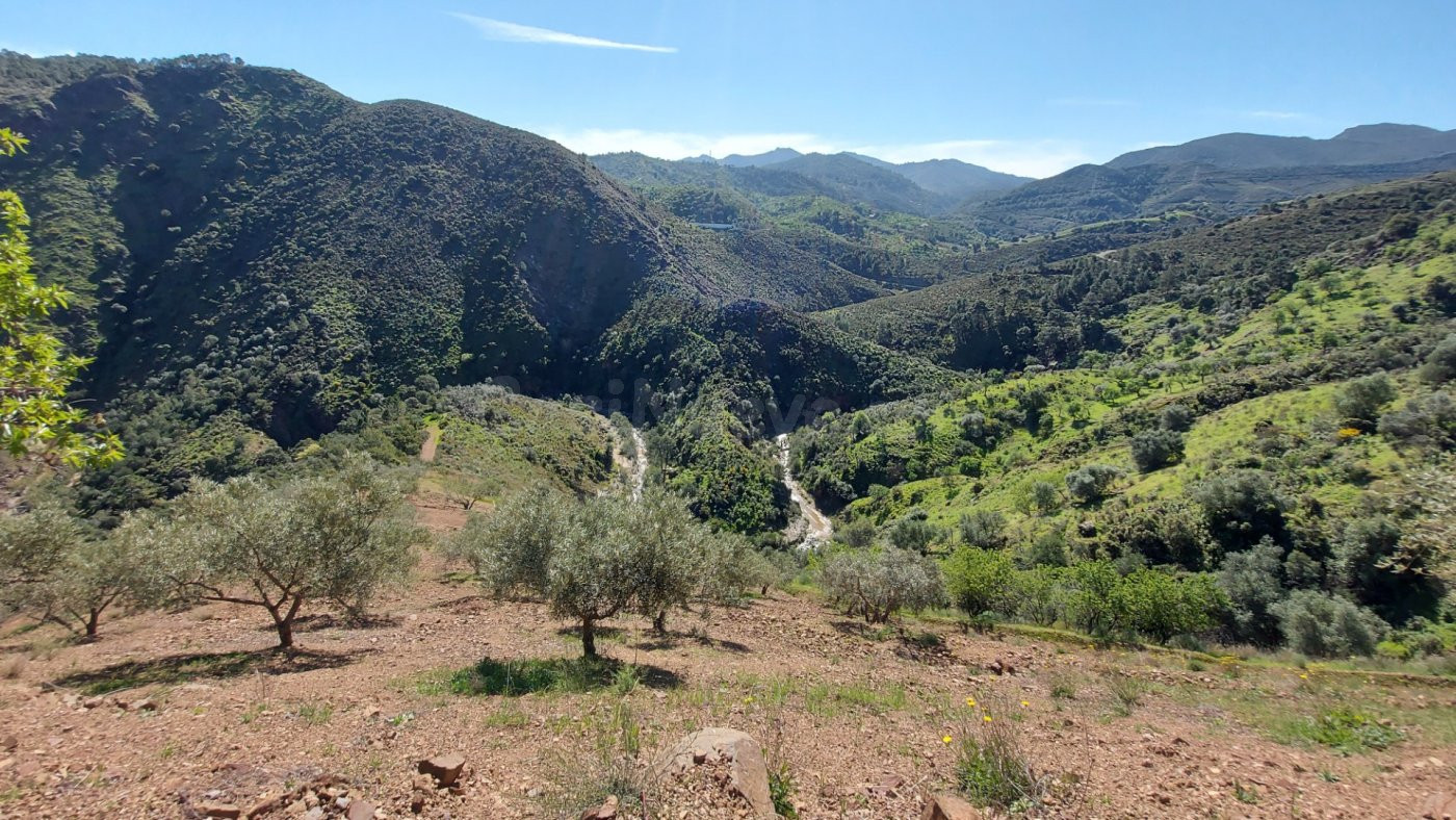 Parcela en Monda