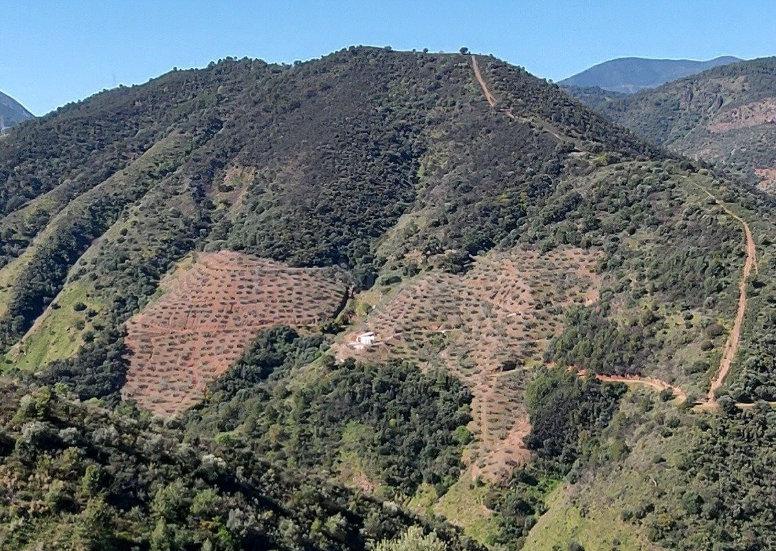 Parcela en Monda - foto 3