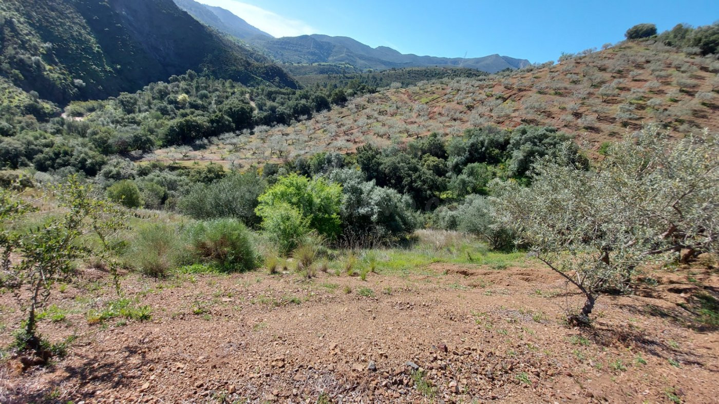 Parcela en Monda - foto 4