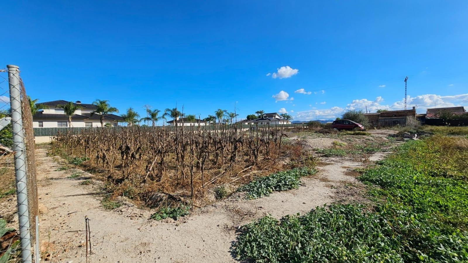 PARCELA RÚSTICA EN VENTA (ORILLA DEL AZARBE / SANTOMERA)