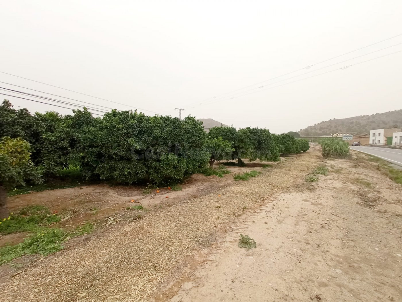 SE VENDE PARCELA EN SANTOMERA CON 5.100 M2
