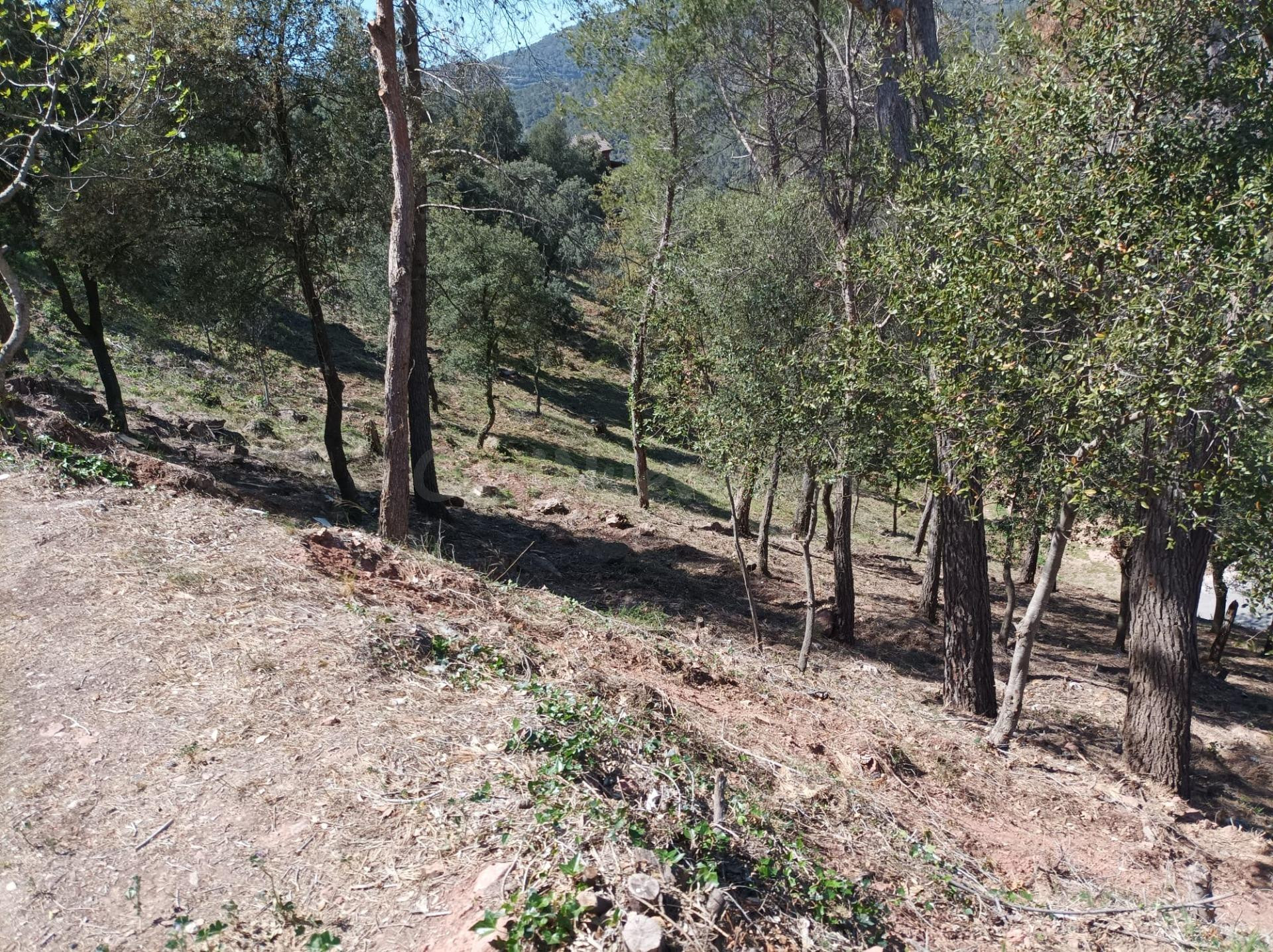 TERRENO URBANO EN ST FELIU RACÓ