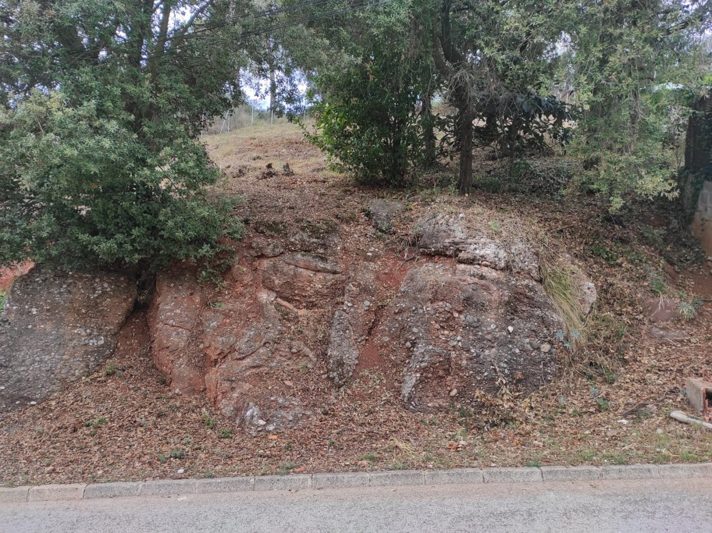 TERRENY URBÀ ENVOLTAT DE NATURALESA