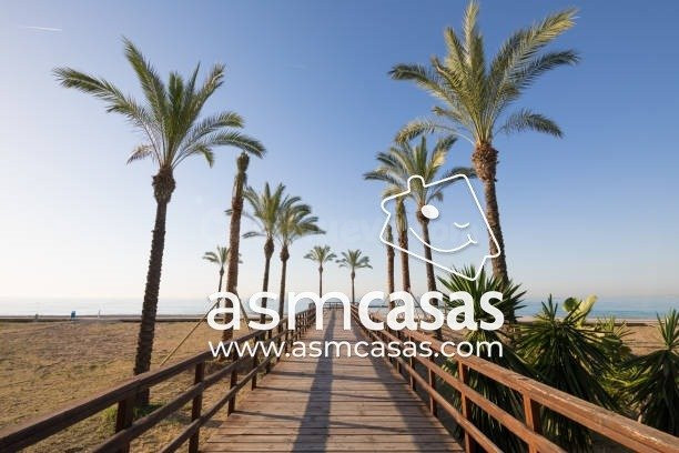 Inmobiliaria en Benicasim vende solar urbano en zona Els Terrers