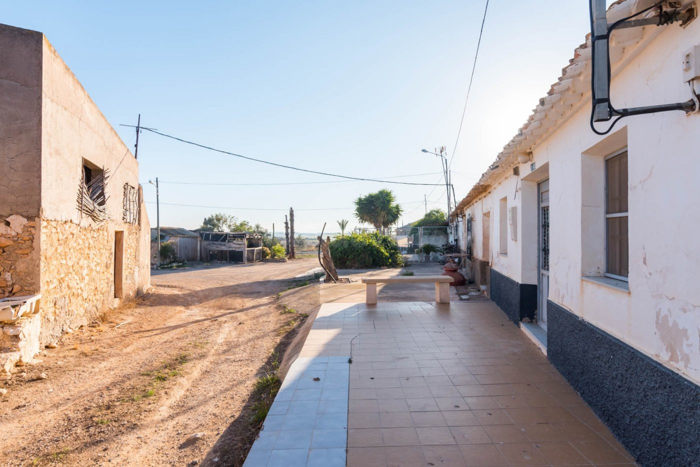 Finca de 26740 m2 de regadío en Alhama de Murcia con casa de campo de 100 m Cultiva, produce y vive.