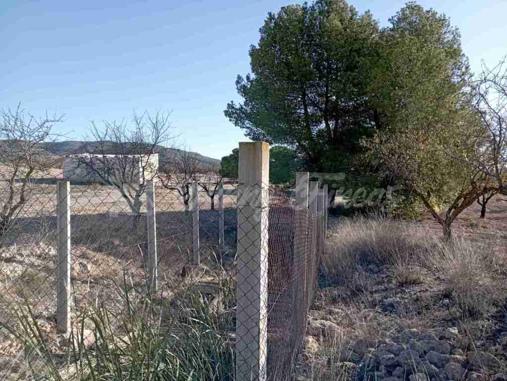 Casa de campo-Masía en Venta en Caudete Albacete - foto 4