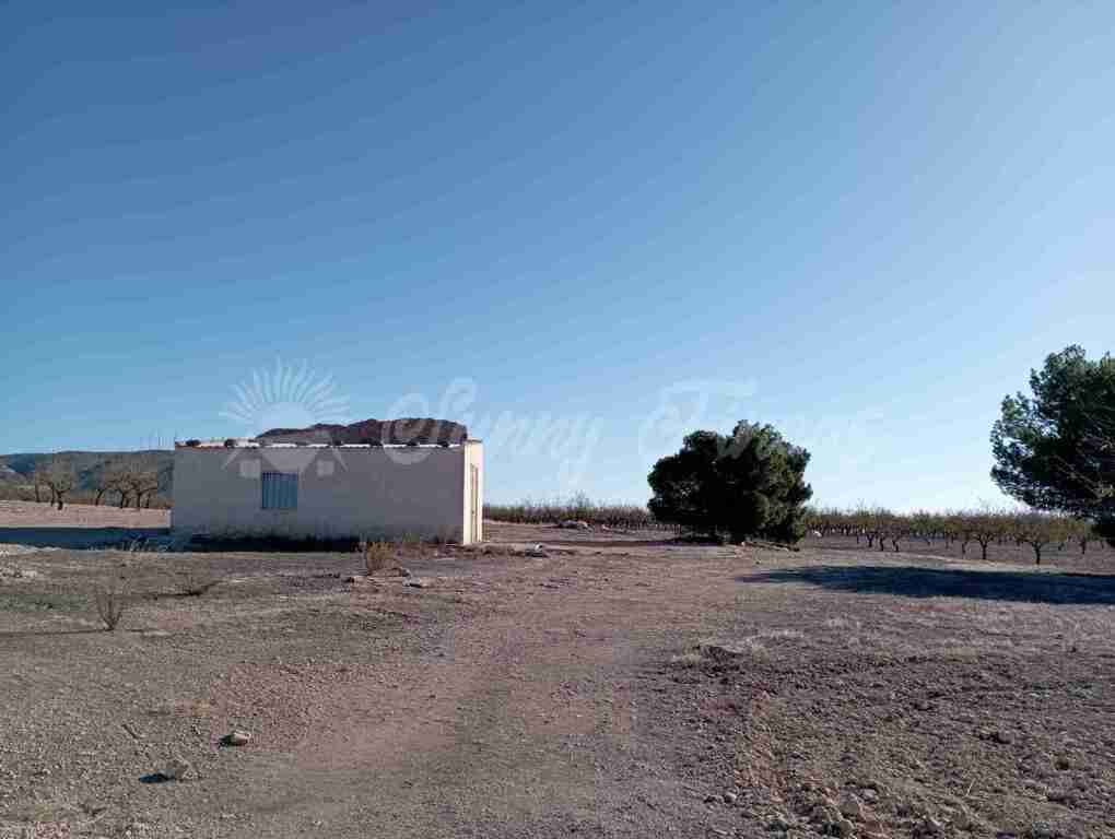 Casa de campo-Masía en Venta en Caudete Albacete - foto 5