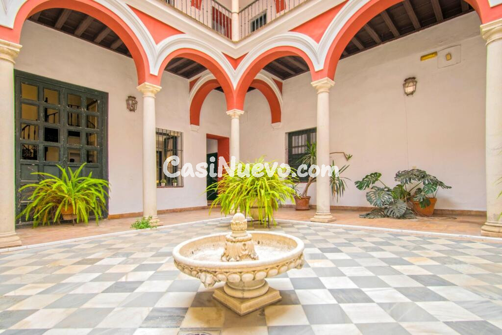 Precioso apartamento tipo dúplex junto a la Plaza del Salvador!!!