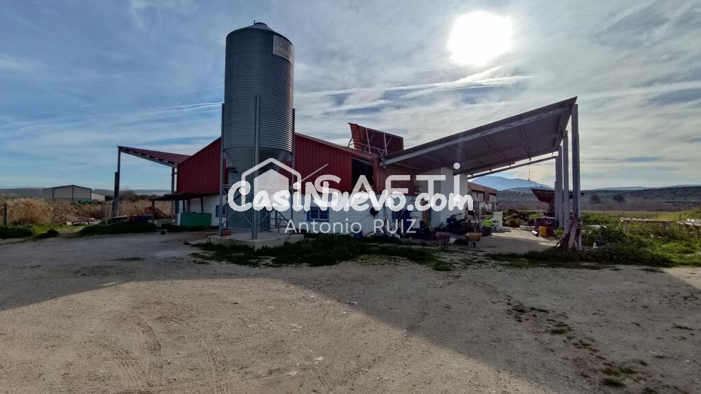 Granja con terreno de unos 20.000 m² y posibilidad de concesión de 200 ha de pastos. Zona Donadio. SIN COMISIÓN DE COMPRA.