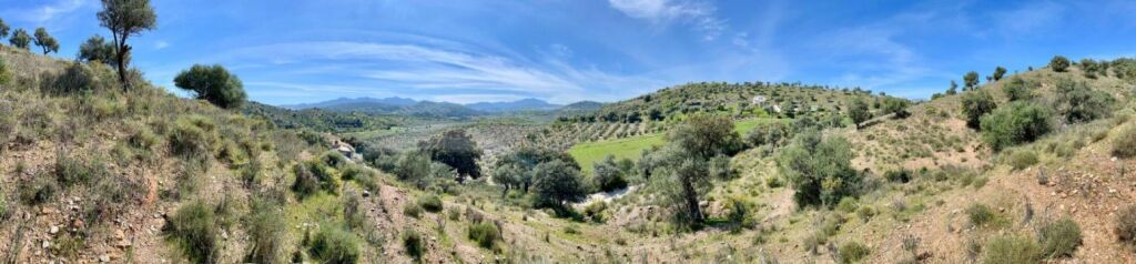 Terreno de 33.000m en venta - foto 4