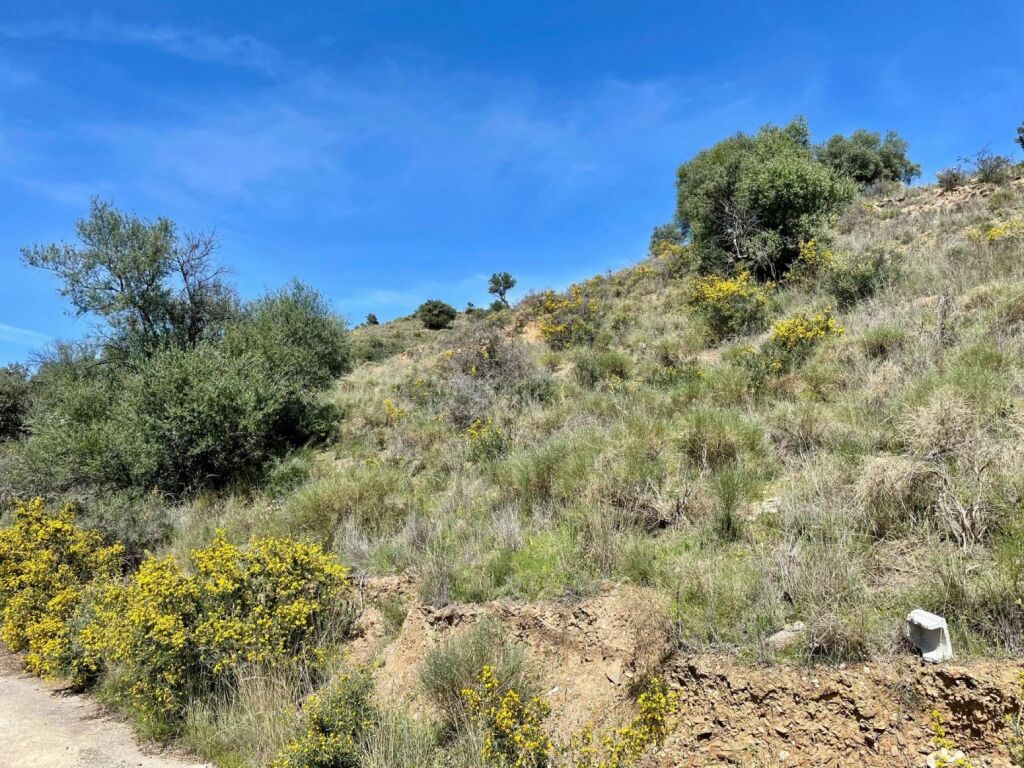 Terreno de 33.000m en venta - foto 5