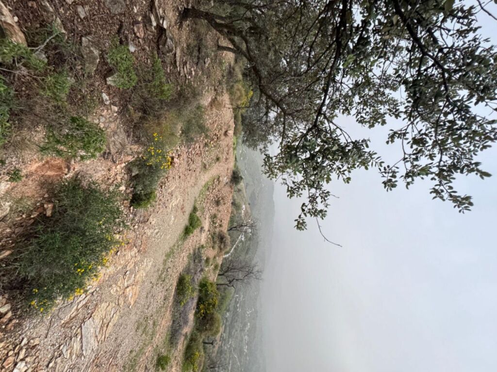 Terreno de 33.000m en venta - foto 7